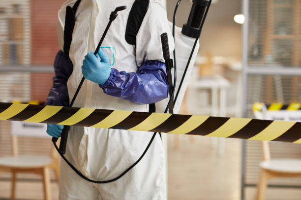 Professional Sewage Cleanup technician working in Highland, IN